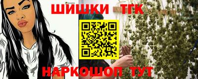 гашик Тулун
