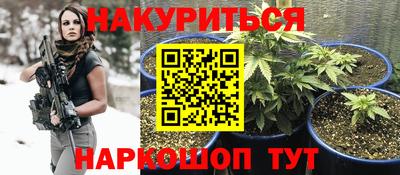 прущие грибы Тара